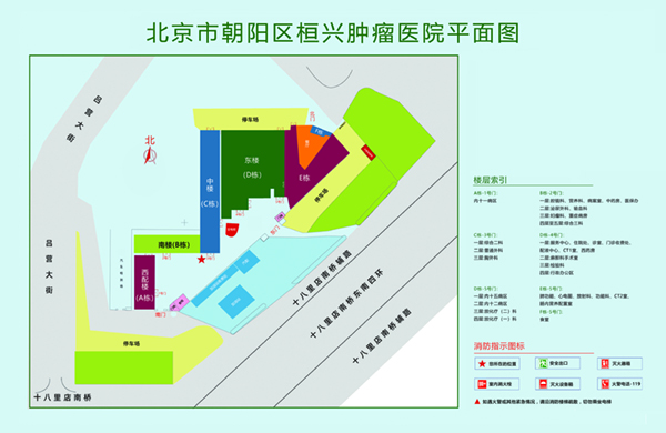 尻逼网站北京市朝阳区桓兴肿瘤医院平面图